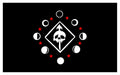 ALL NIGHT ALPHA FLAG